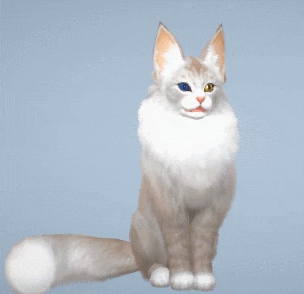 今年最后一个超级大服“绝世霸刀”即将开启，还有猫咪萌宠抢先看