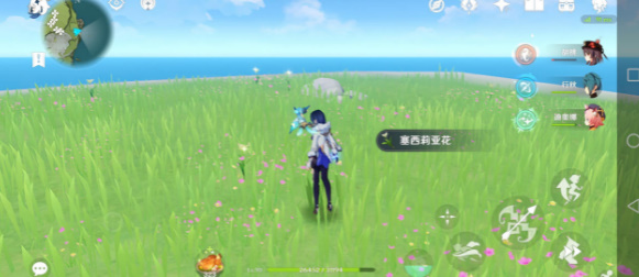 原神塞西莉亚花在哪里买-塞西莉亚花采集地点汇总