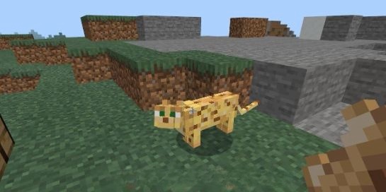 我的世界豹猫怎么驯服 教你5步轻松顺服豹猫