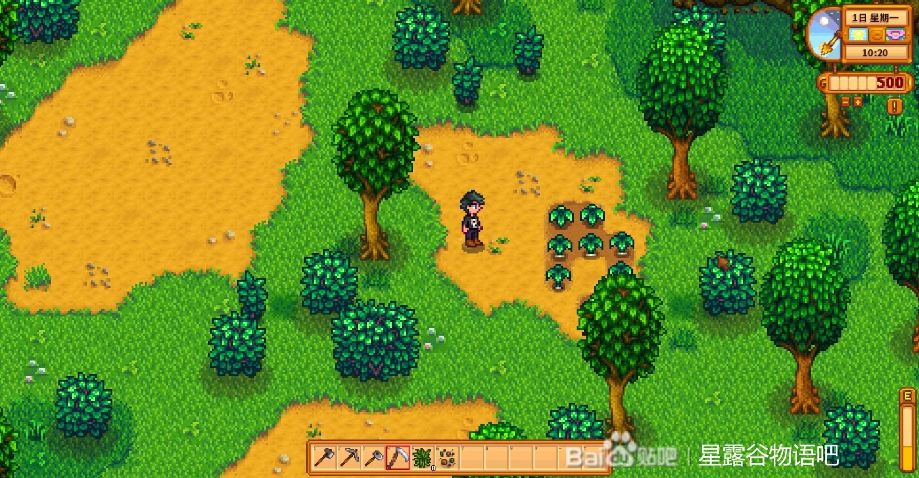 星露谷物语1.6草原农场开荒流程实录