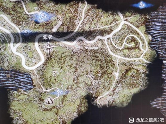 龙之信条2琥珀红龙打法心得-琥珀红龙怎么打