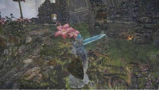 《艾尔登法环》菈妮支线任务全流程，艾尔登法环菈妮支线任务怎么做？