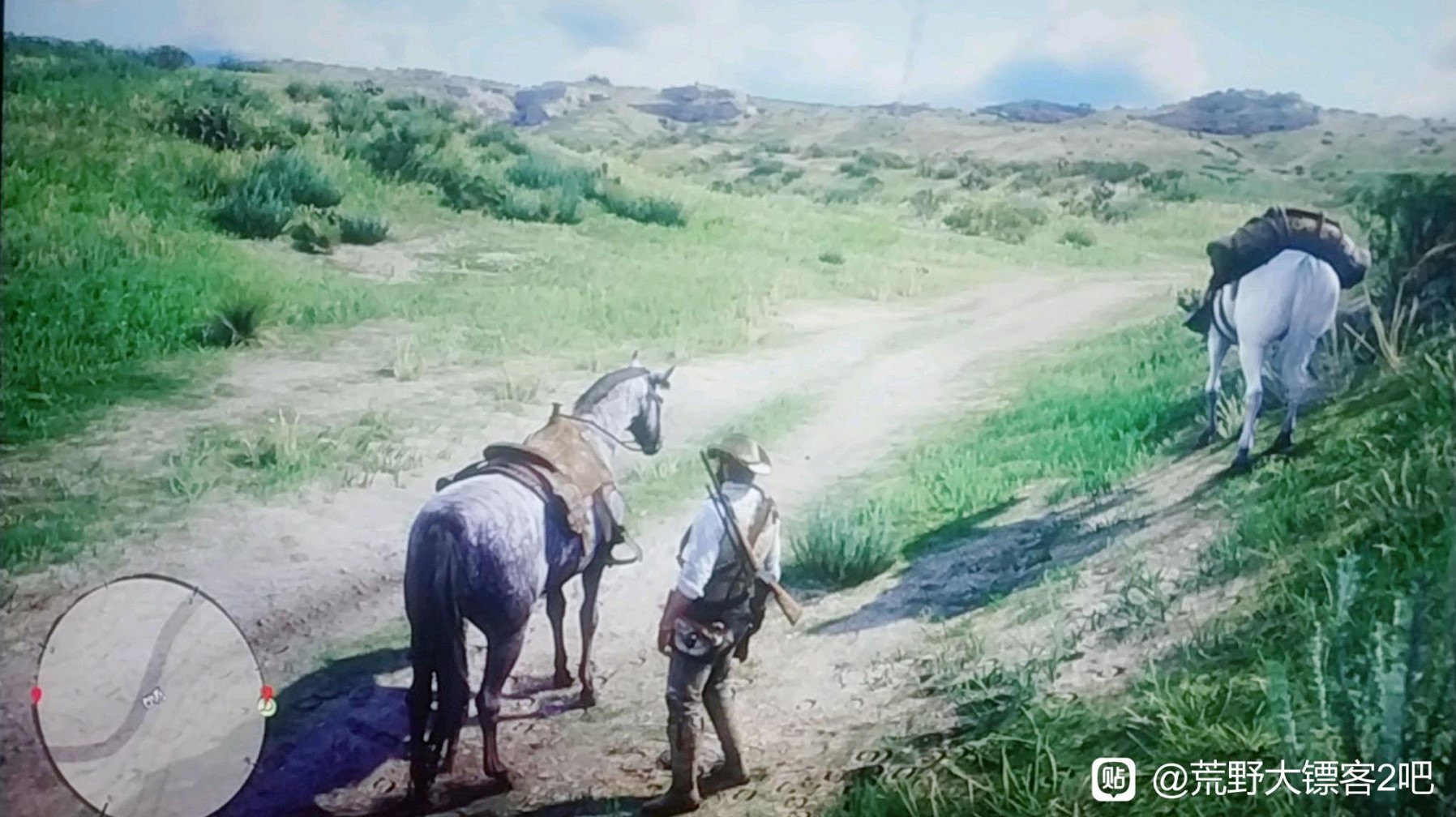 《荒野大镖客2》满速纯血马抓取位置