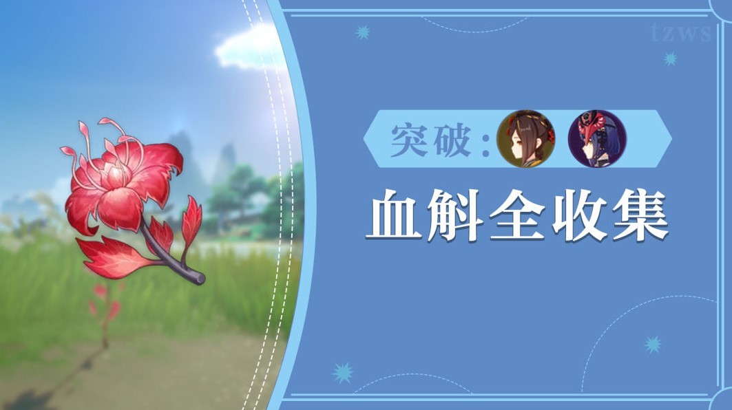 《原神》4.5“血斛”快速采集路线分享 千织突破材料采集