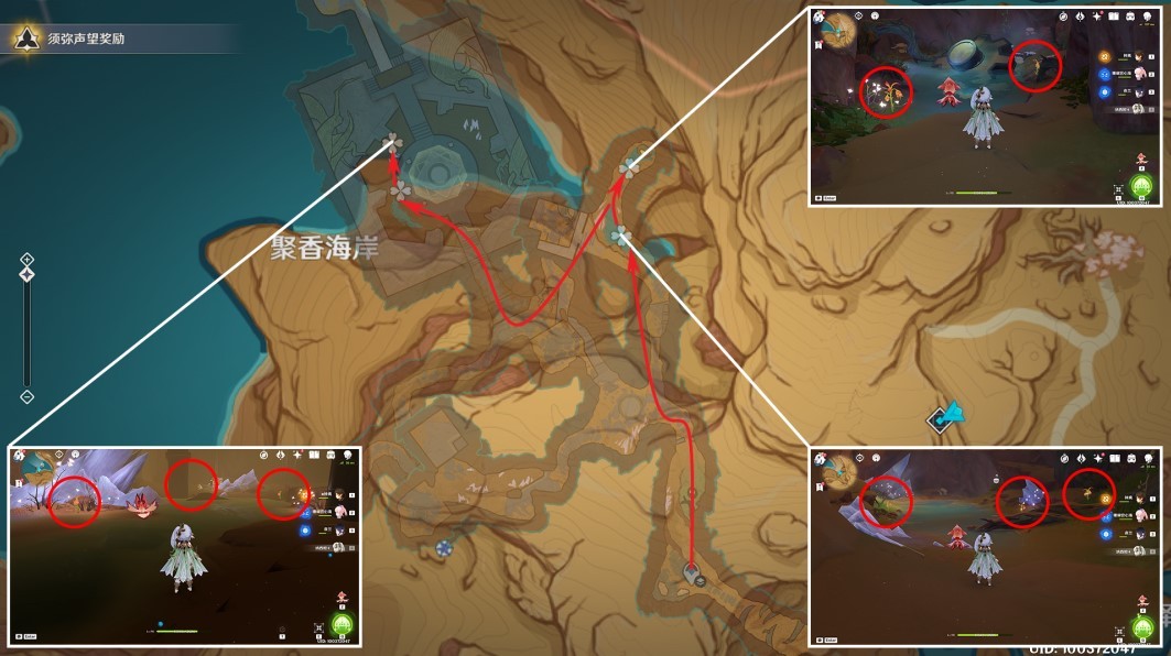 《原神》“悼灵花”快速采集线路分享 悼灵花怎么获得