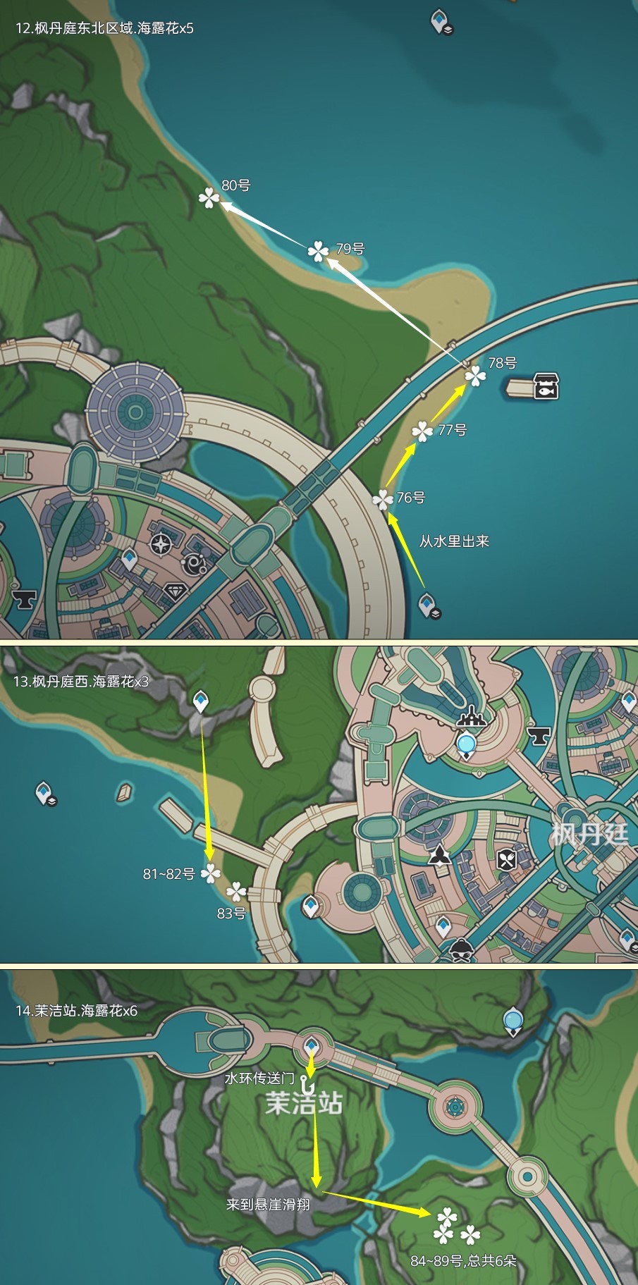 《原神》4.5“海露花”采集路线分享