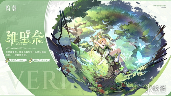 《鸣潮》即将公测，常驻五虎角色介绍提前看！