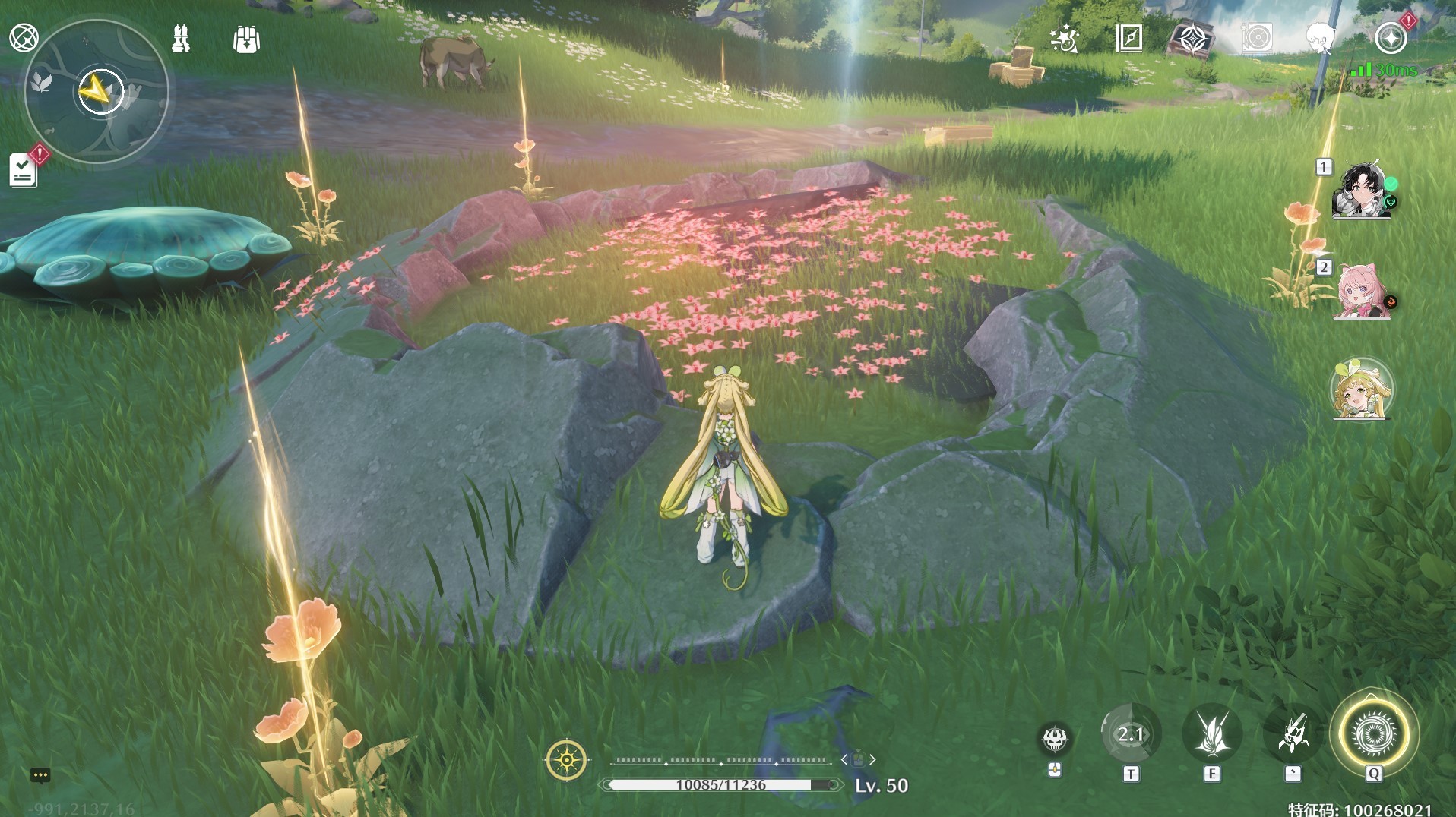 《鸣潮》“妙弋花”高效采集路线分享