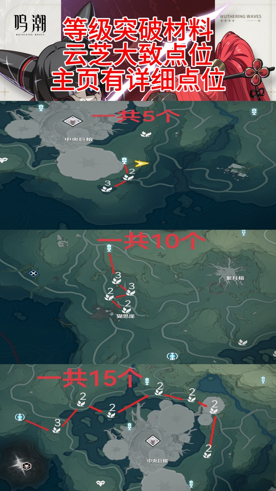 《鸣潮》“吟霖”培养指南，云芝采集路线分享