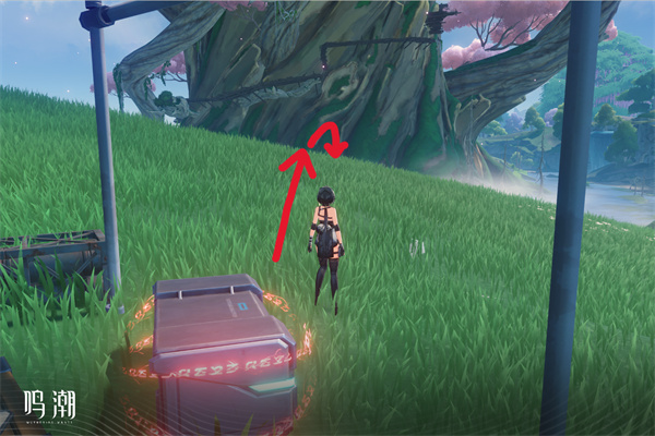 《鸣潮》“无光之森生态调查”图文攻略介绍