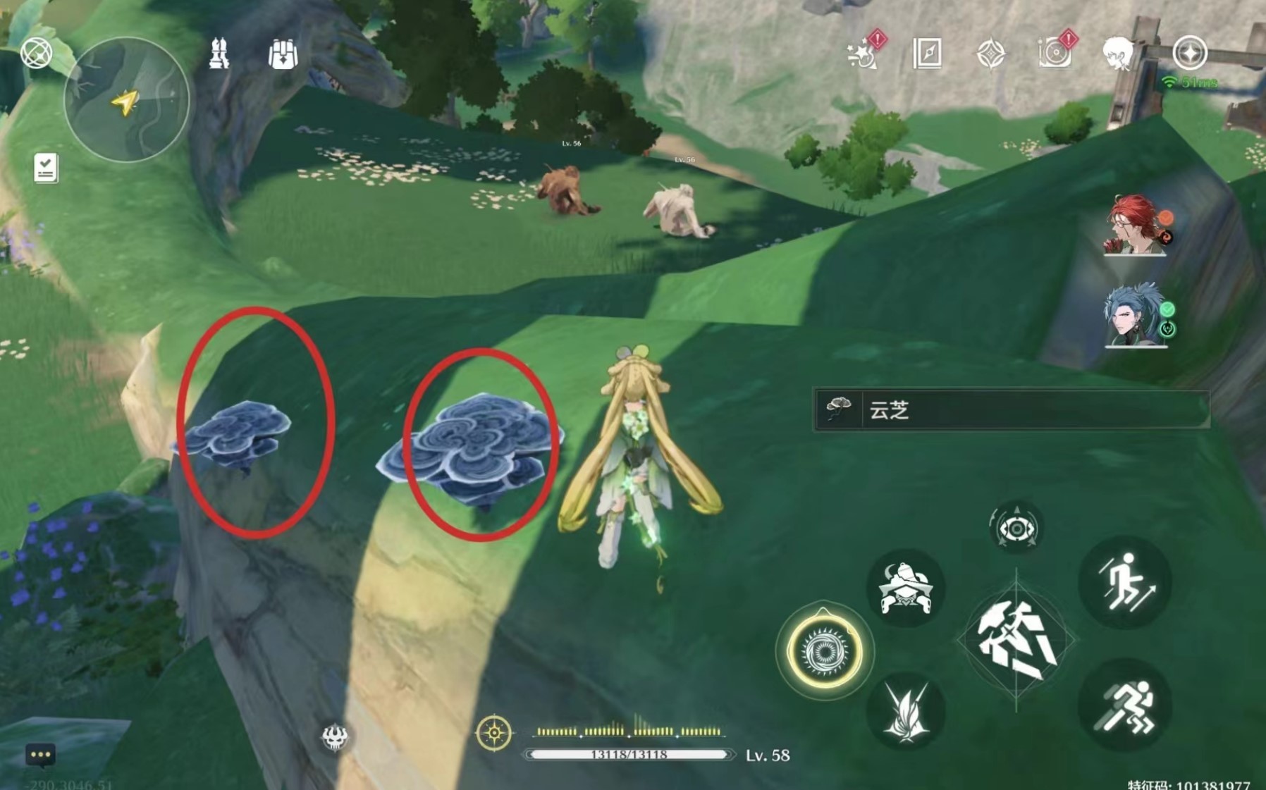 《鸣潮》“云芝”采集路线与具体点位，吟霖突破材料获取