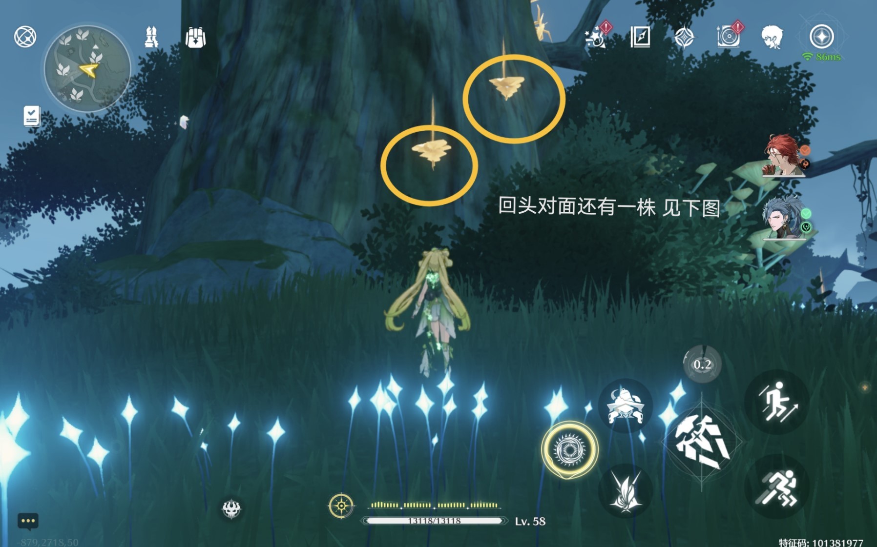 《鸣潮》“云芝”采集路线与具体点位，吟霖突破材料获取