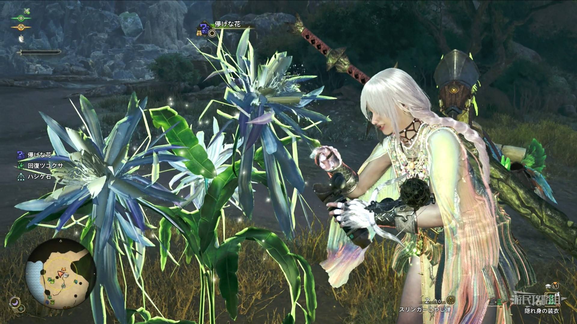 《怪物猎人荒野》“一夜花的月华粉”速刷方法，一夜花的月华粉在哪