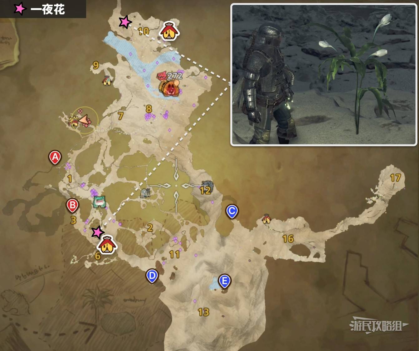 《怪物猎人荒野》“一夜花的月华粉”速刷方法，一夜花的月华粉在哪