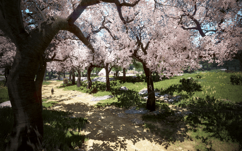 《黑色沙漠》的春日樱花季，活动惊喜不断！