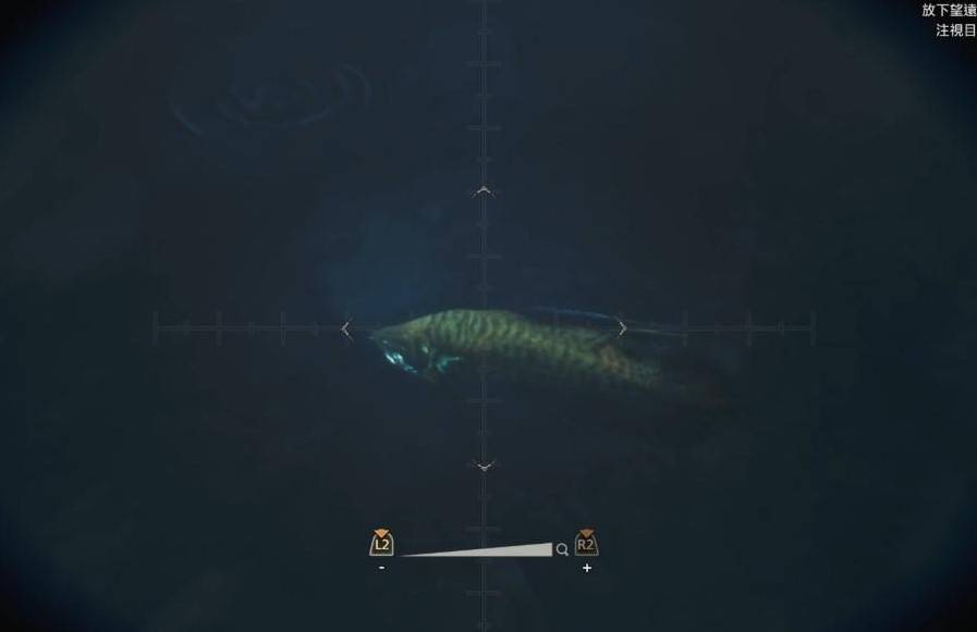 《怪物猎人荒野》钓鱼支线任务攻略，带卵弓鳍鱼怎么钓