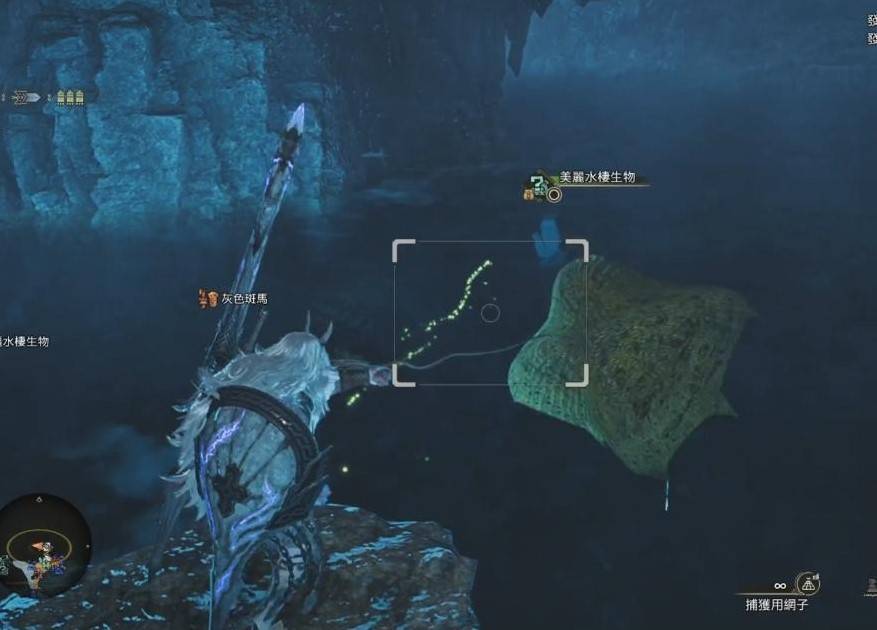 《怪物猎人荒野》钓鱼支线任务攻略，带卵弓鳍鱼怎么钓