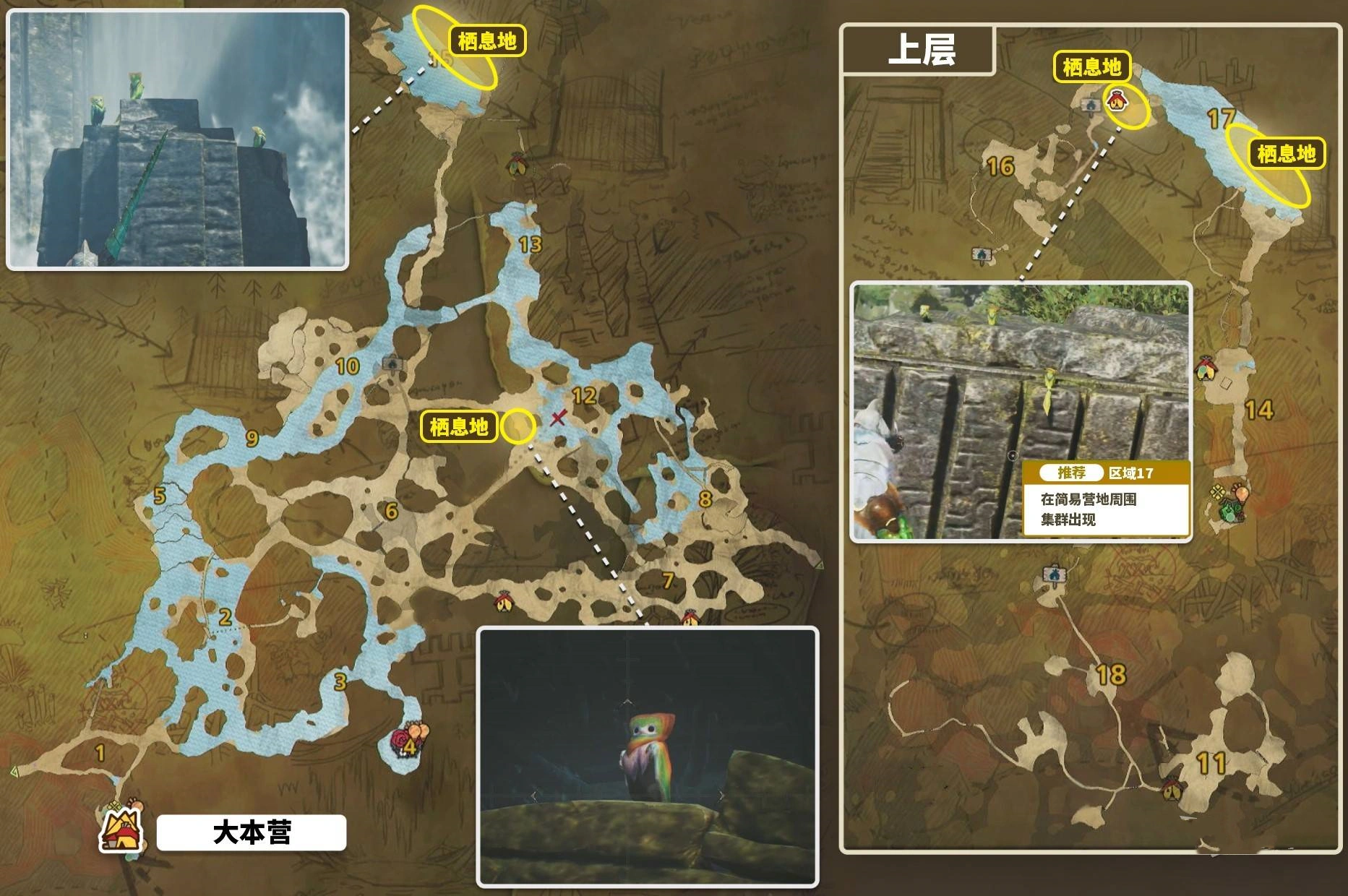 《怪物猎人荒野》“端丽翼鸟”位置及捕获方法，端丽翼鸟在哪抓