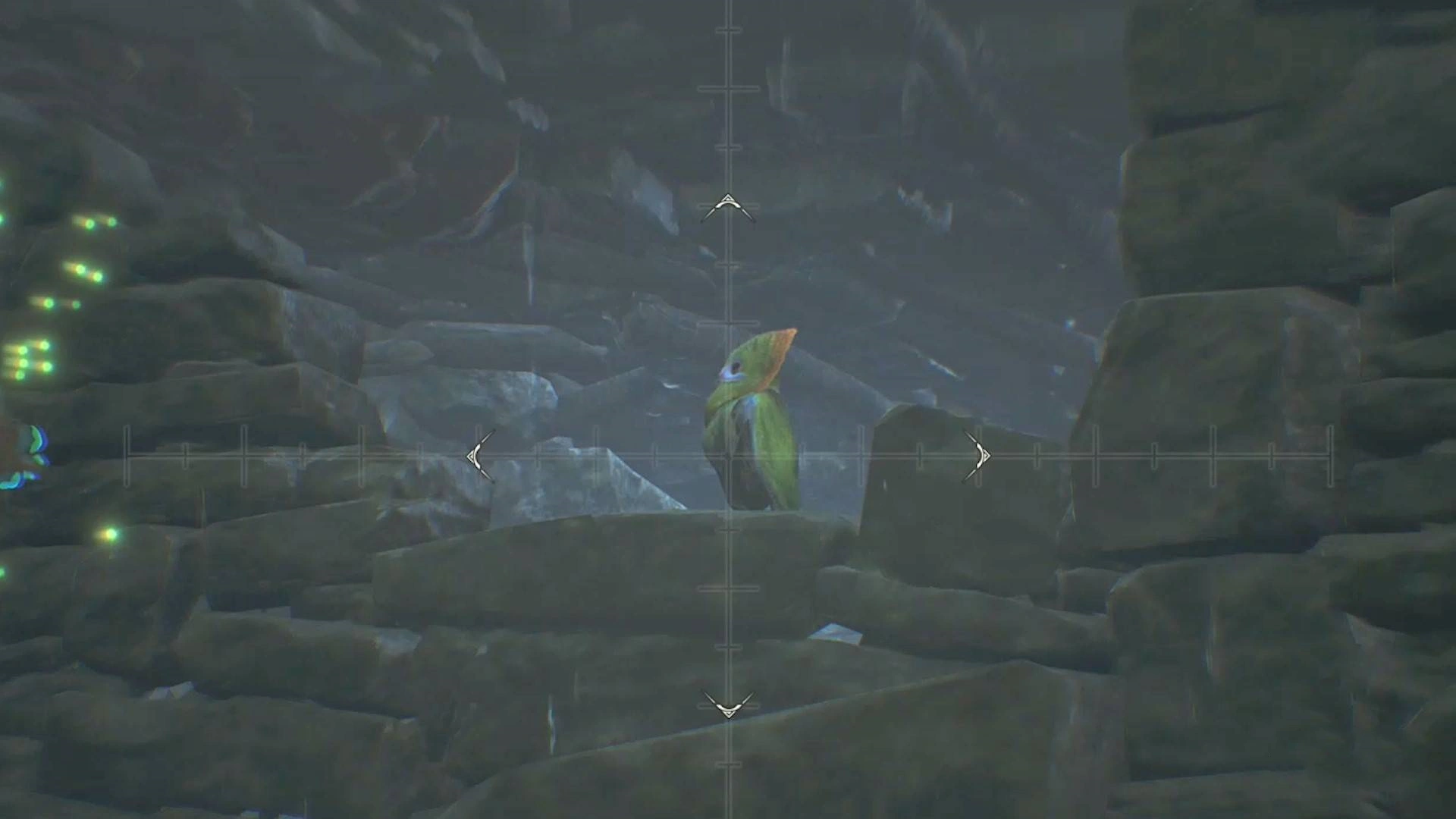 《怪物猎人荒野》“端丽翼鸟”位置及捕获方法，端丽翼鸟在哪抓