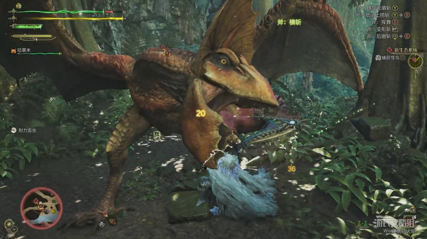 《怪物猎人荒野》“怪鸟”打法及掉落材料一览，怪鸟怎么打