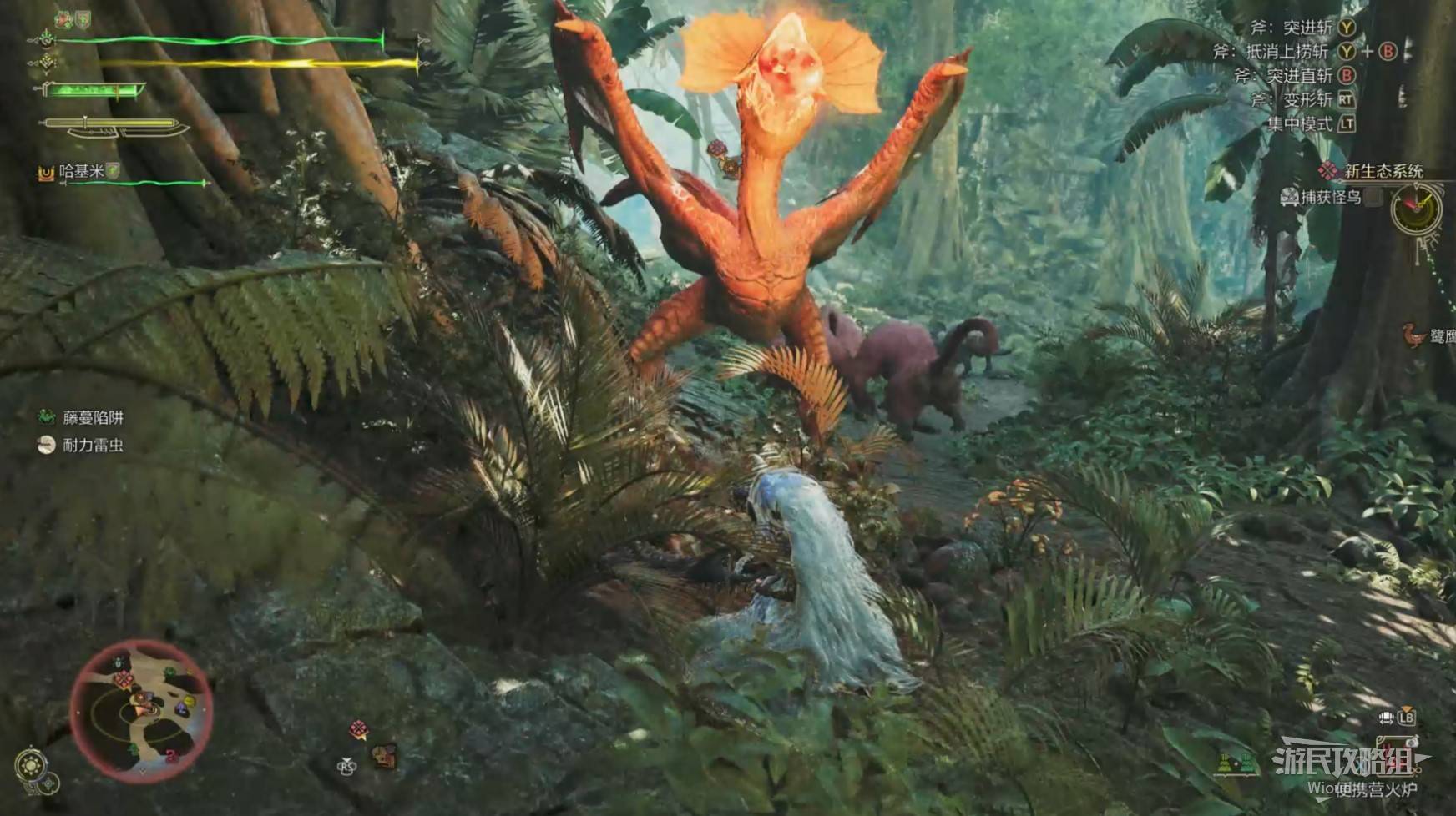 《怪物猎人荒野》“怪鸟”打法及掉落材料一览，怪鸟怎么打