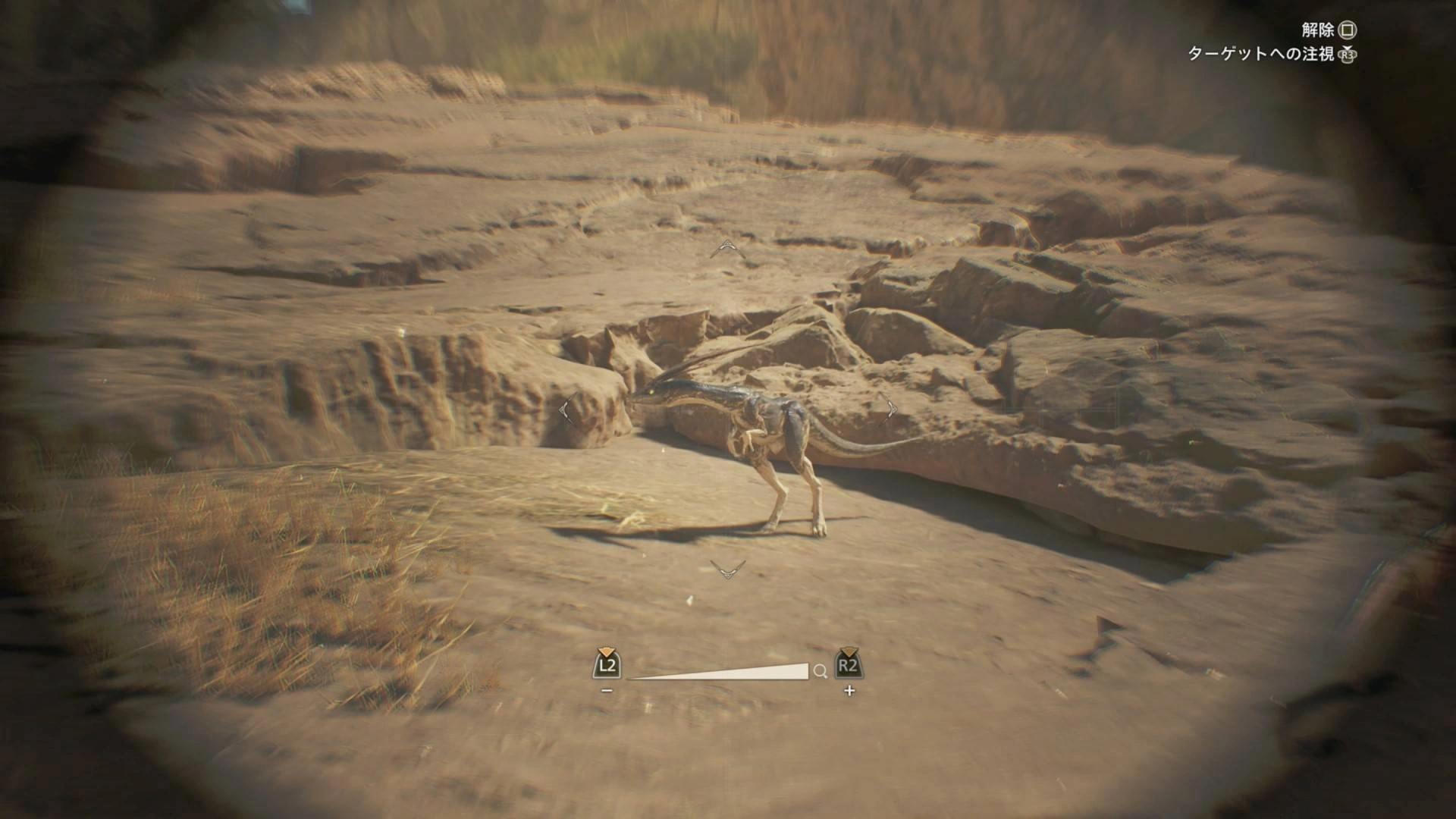 《怪物猎人荒野》“黑风切龙”位置及捕捉方法，黑风切龙在哪