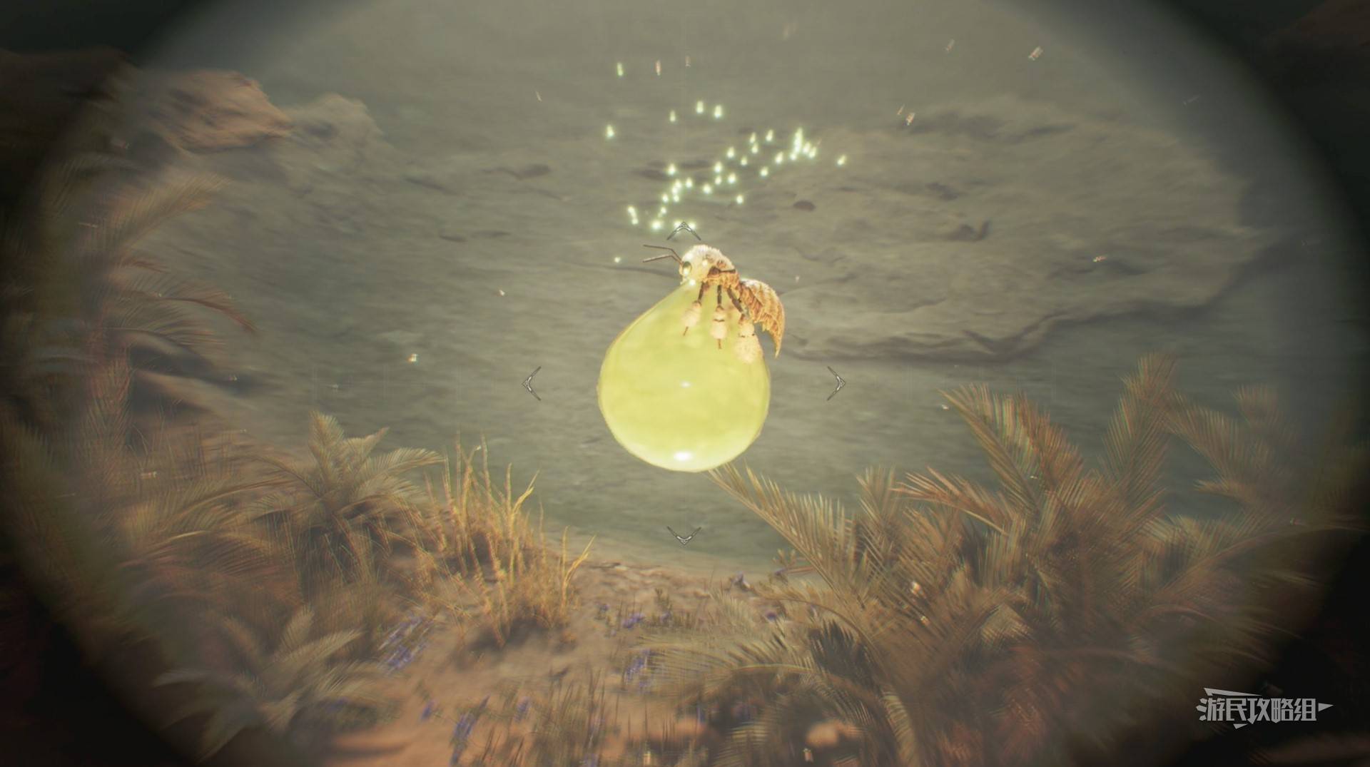 《怪物猎人荒野》“大回复蜜虫”位置及捕获方法，大回复蜜虫在哪抓