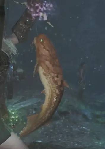 《怪物猎人荒野》钓鱼点位分享，黄金鱼在哪钓