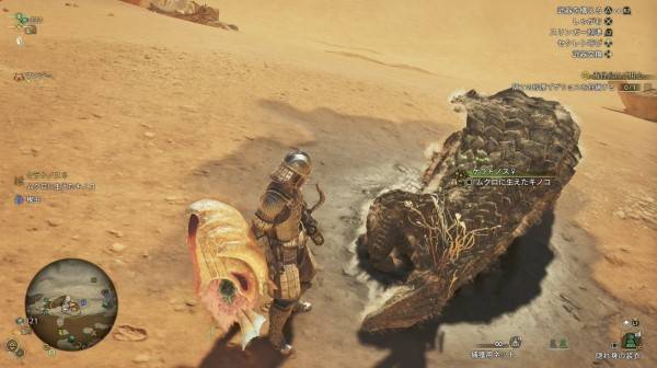 《怪物猎人荒野》“冬龙夏草”位置及获取方法，冬龙夏草在哪