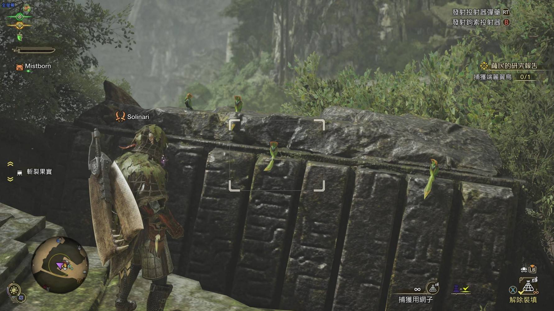 《怪物猎人荒野》“端丽翼鸟”在哪抓，端丽翼鸟捕获教程