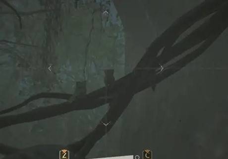 《怪物猎人荒野》“端丽翼鸟”位置分享，端丽翼鸟在哪