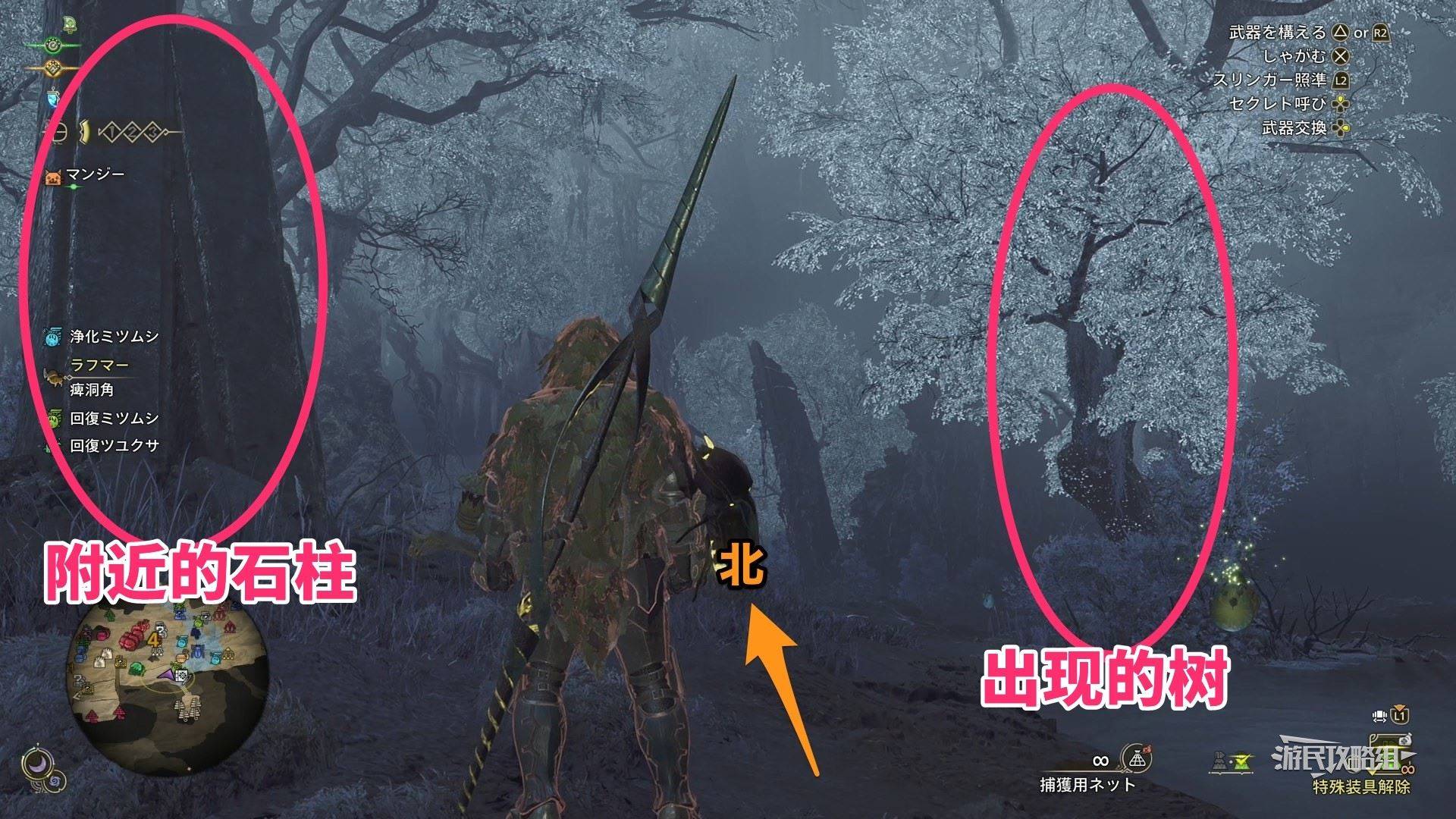 《怪物猎人荒野》“虹色大独角仙”位置及捕获方法，虹色大独角仙在哪抓