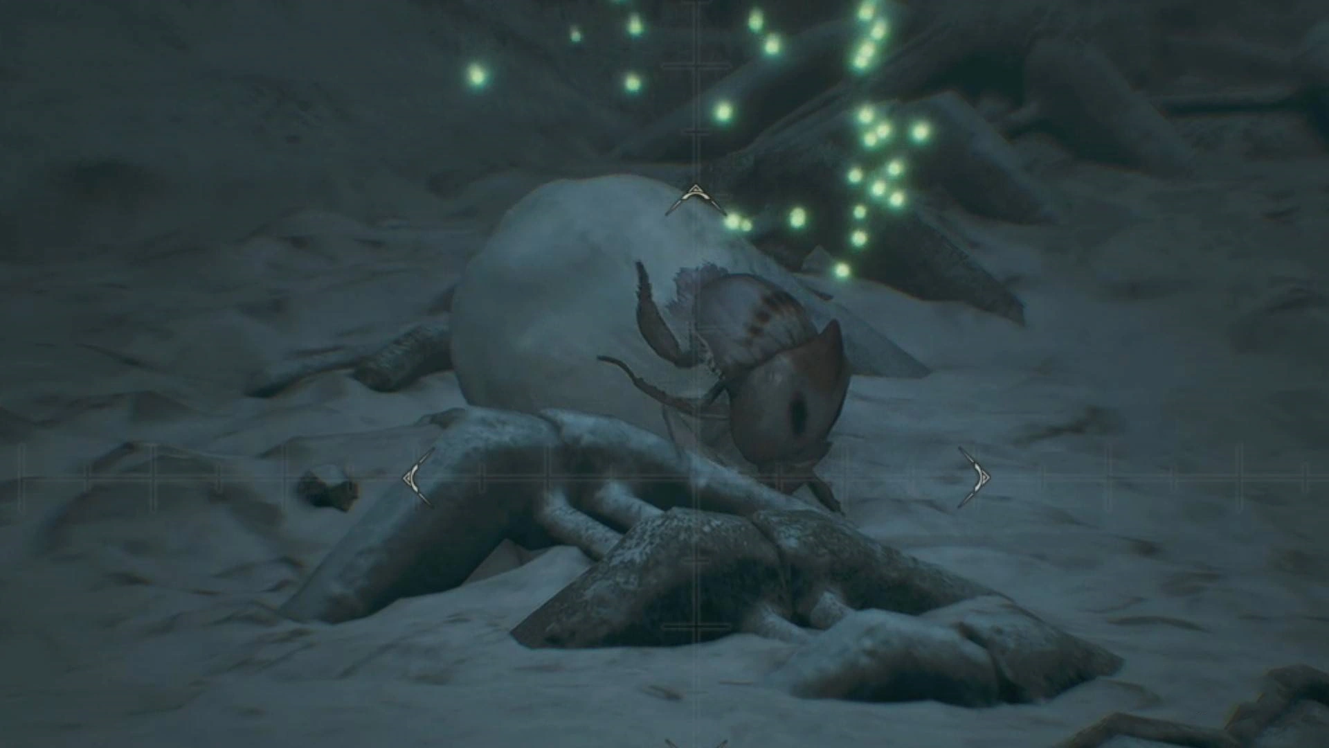 《怪物猎人荒野》“雪球虫”位置及捕获方法，雪球虫在哪抓