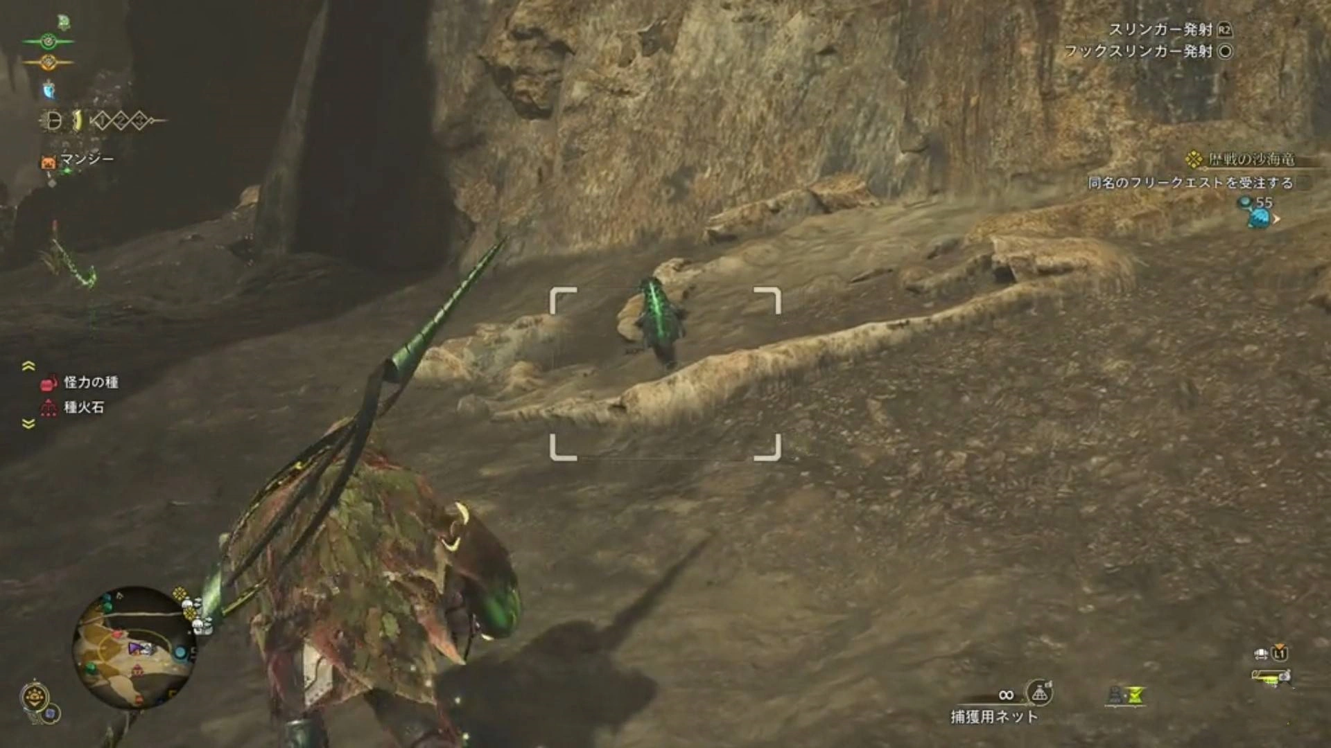 《怪物猎人荒野》“火焰领蜥”位置及捕获方法，火焰领蜥在哪抓