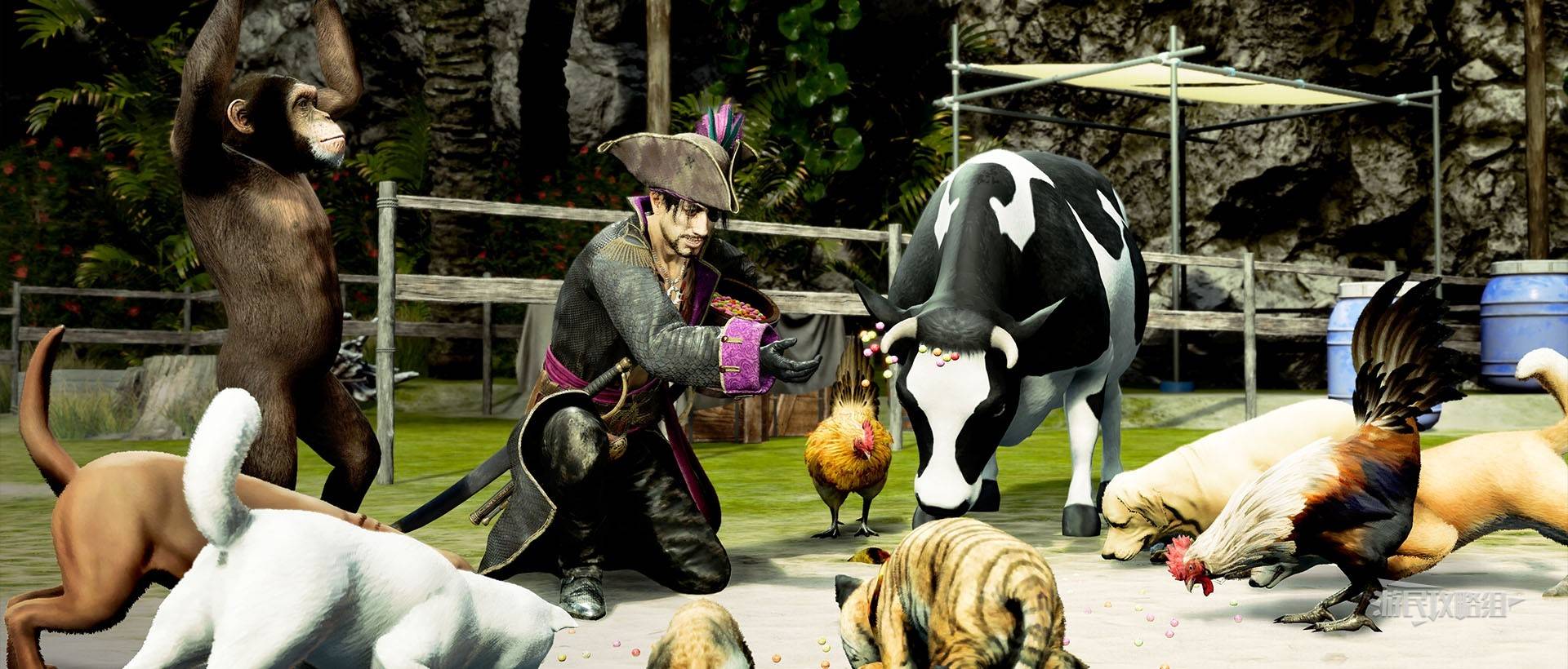 《如龙8外传夏威夷海盗》吾朗王国全动物位置一览，救护动物在哪