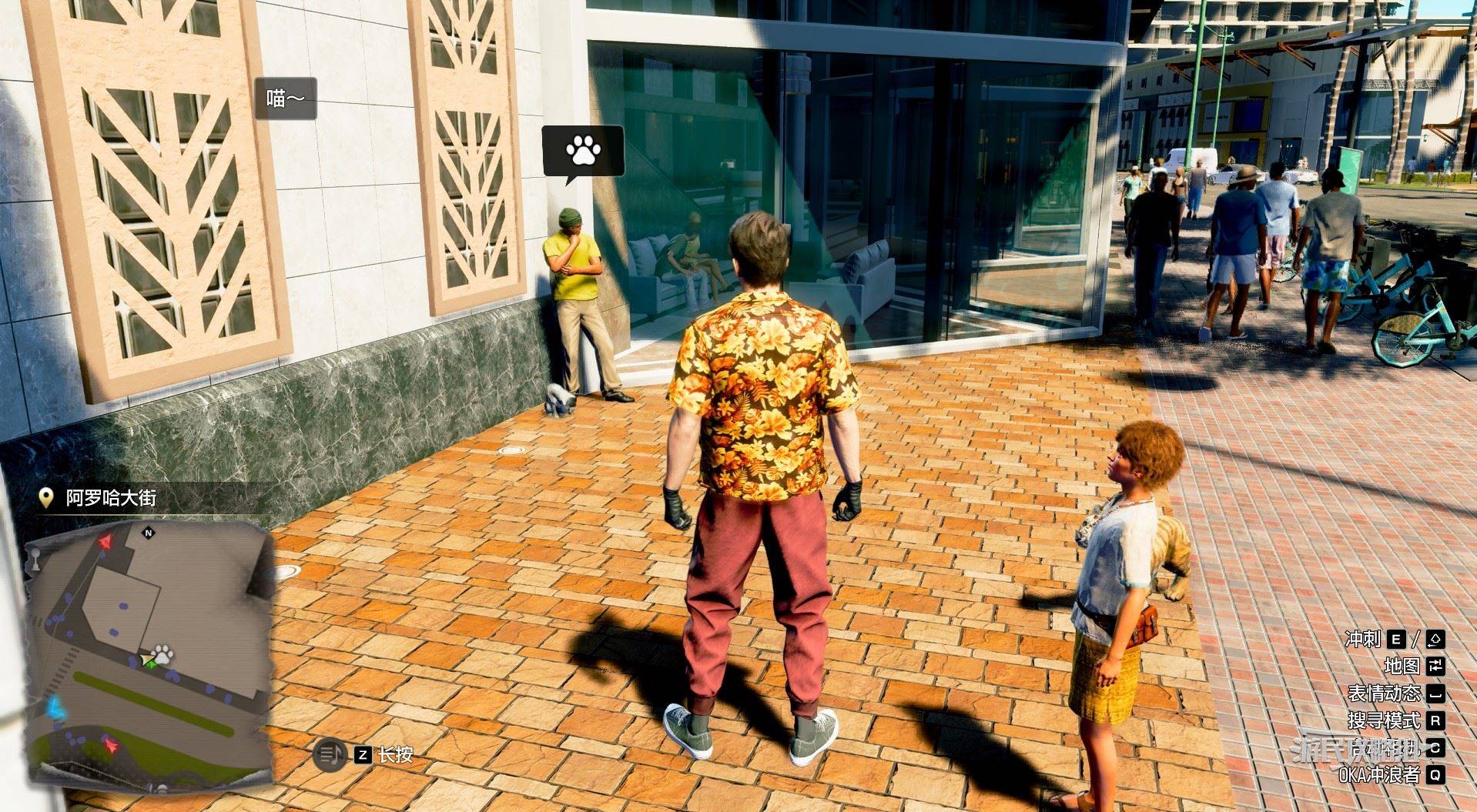 《如龙8外传夏威夷海盗》吾朗王国全动物位置一览，救护动物在哪