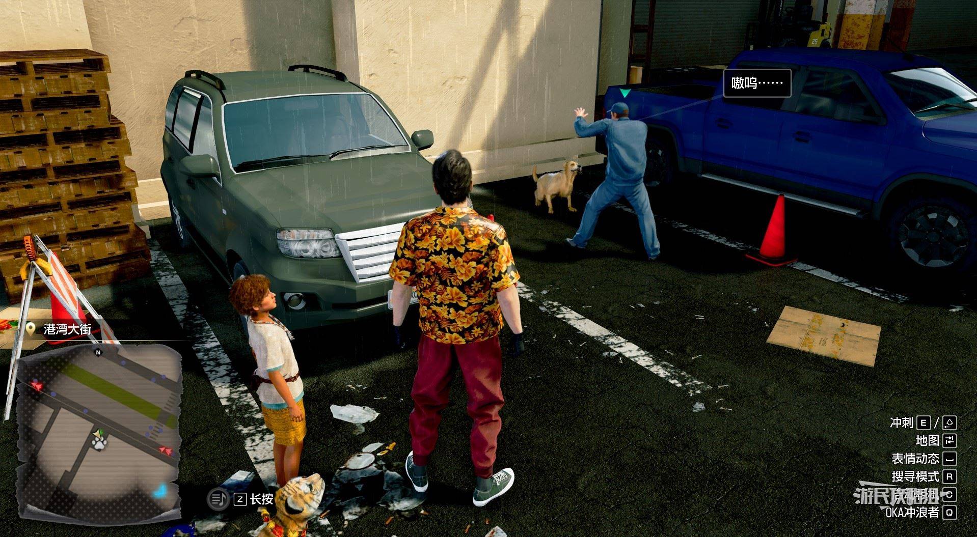 《如龙8外传夏威夷海盗》吾朗王国全动物位置一览，救护动物在哪