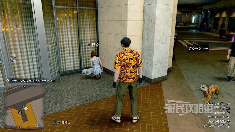 《如龙8外传夏威夷海盗》吾朗王国全动物位置一览，救护动物在哪