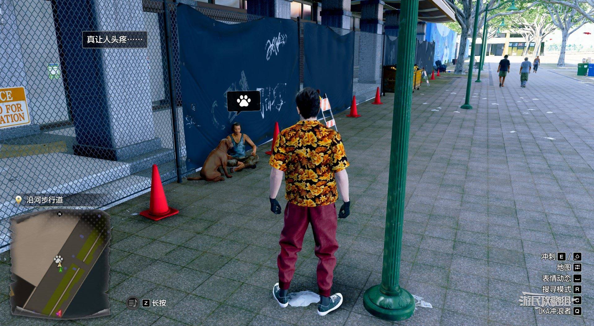 《如龙8外传夏威夷海盗》吾朗王国全动物位置一览，救护动物在哪