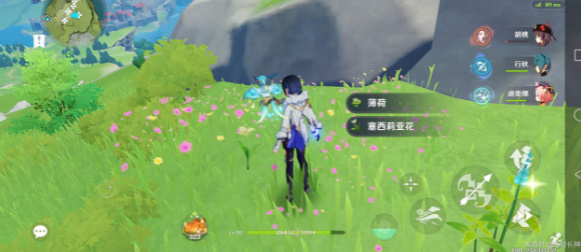 原神塞西莉亚花在哪里买-塞西莉亚花采集地点汇总