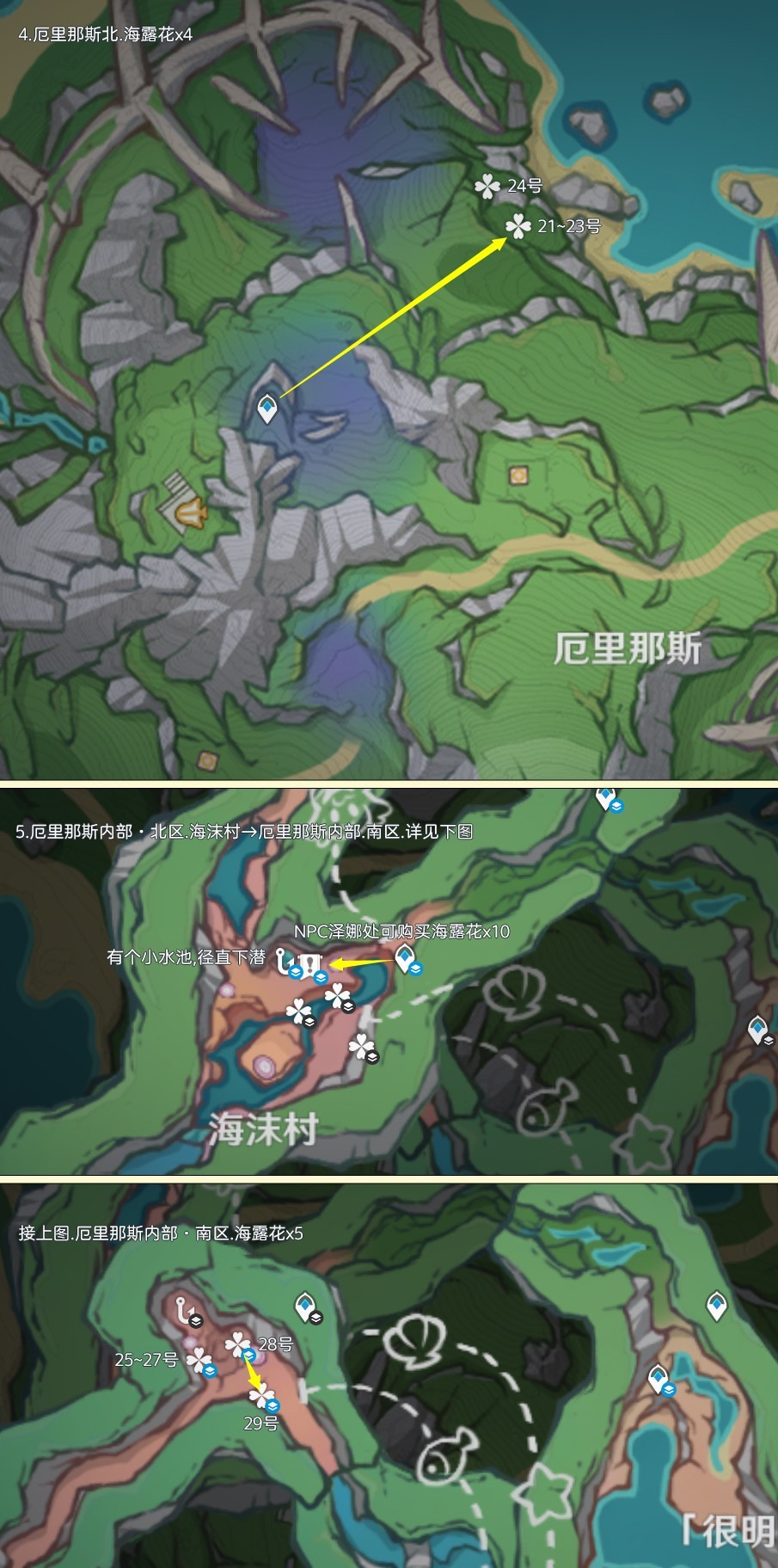 《原神》4.5“海露花”采集路线分享