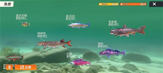 《欢乐钓鱼大师》玩法心得攻略分享